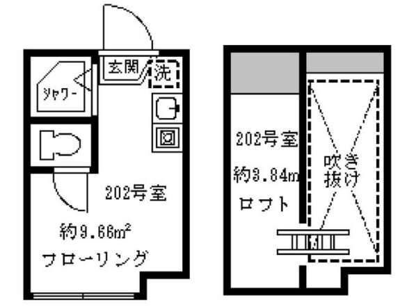 ソフィアシナモン